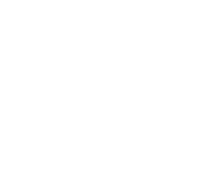 WWE Logo