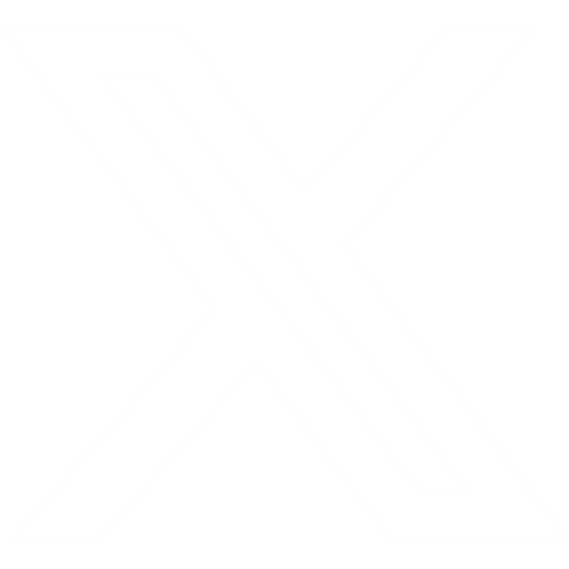 X Icon